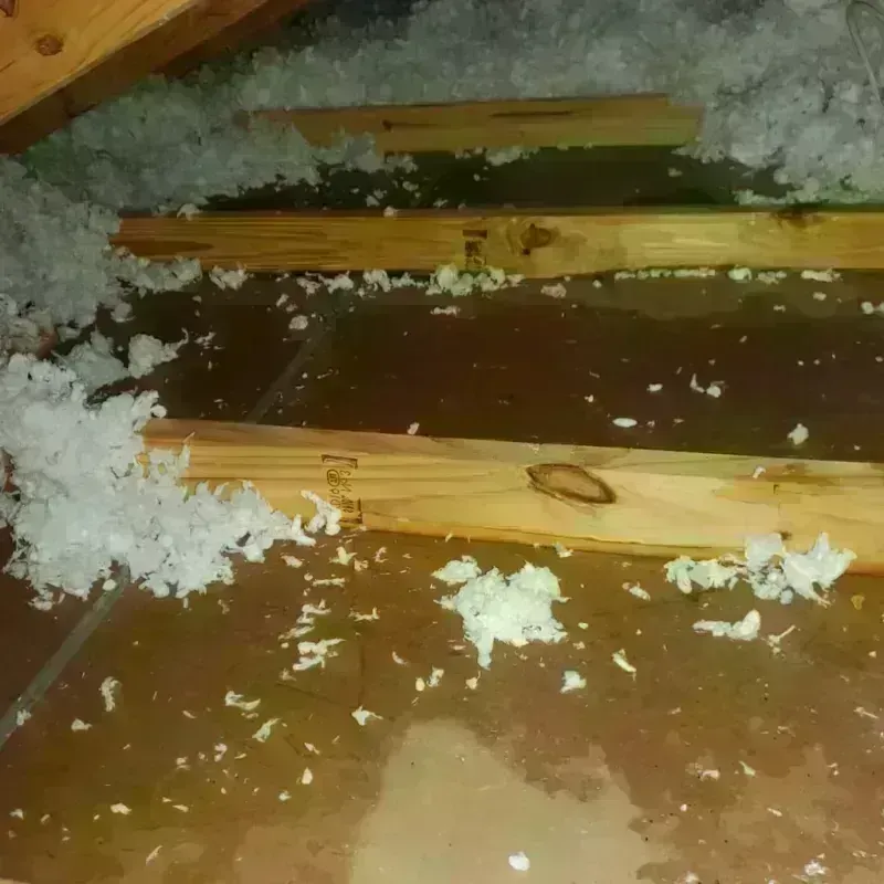 Attic Water Damage in Buffalo, WY